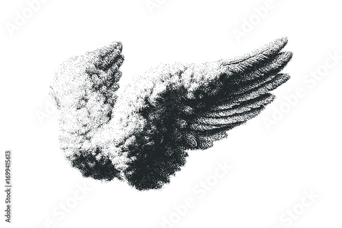 Feathered wing rendered with stippling technique isolated on white. Vector hand drawn illustration