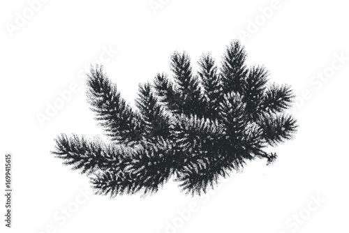 Dark Pine Branch Foliage Halftone Silhouette. Vector hand drawn illustration