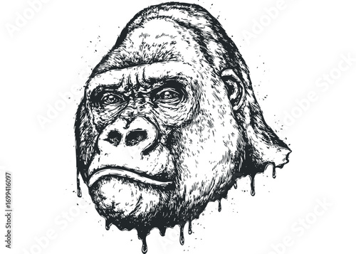 Close up monochrome sketch of a gorilla head with dripping effect. Vector hand drawn illustration