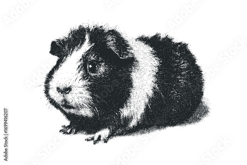 Guinea Pig Halftone Graphic on Transparent Background. Vector hand drawn illustration