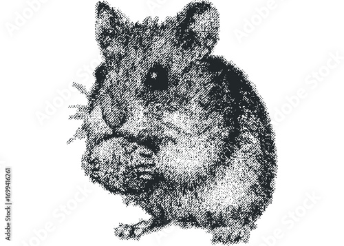 Small rodent nibbling food. Vector hand drawn illustration