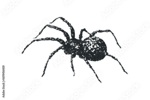 Spider graphic element with transparent background. Vector hand drawn illustration
