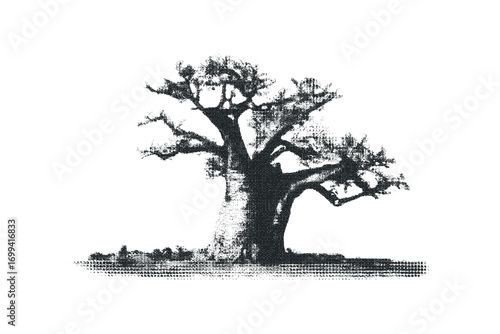 Baobab Tree on Transparent. Vector hand drawn illustration
