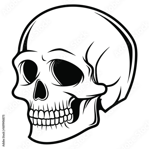 A silhouette of a skull on a white background