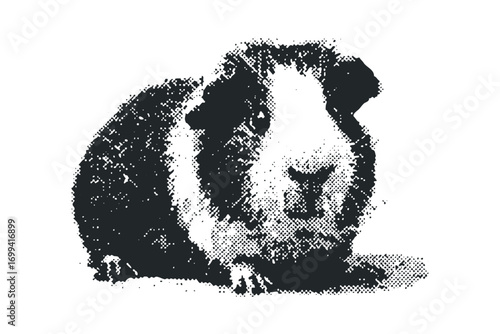 Grayscale guinea pig with halftone texture. Vector hand drawn illustration