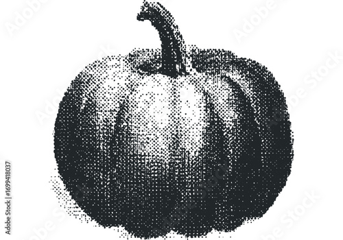 Pumpkin with dotted texture image. Vector hand drawn illustration