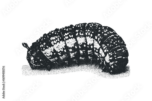 Grayscale Textured Caterpillar Insect Larva. Vector hand drawn illustration