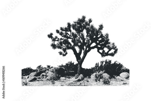 Joshua tree on rocky desert ground. Vector hand drawn illustration