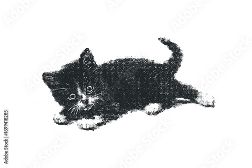 Kitten lying down on transparent background, black and white linocut style. Vector hand drawn illustration