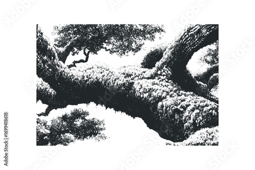 Grunge textured ancient oak tree branches and foliage. Vector hand drawn illustration