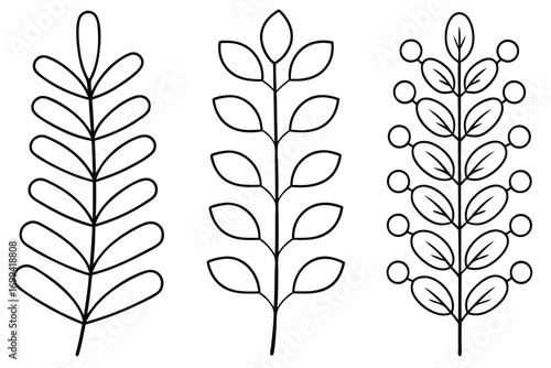 Black outline botanical illustrations plant stem