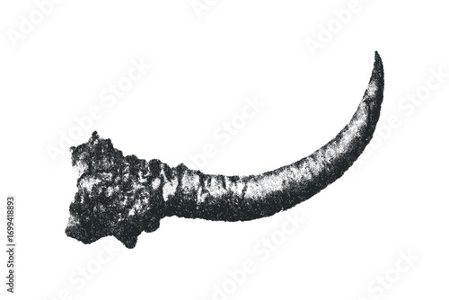 Horn of animal on transparent background image. Vector hand drawn illustration