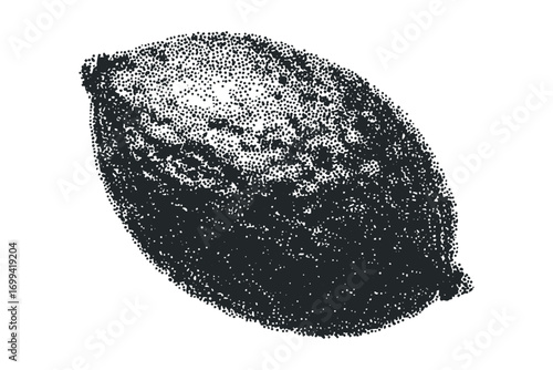 Textured seed graphic with stippled shading on a white canvas. Vector hand drawn illustration