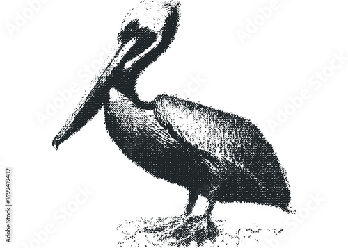 Ink dot texture pelican avian creature. Vector hand drawn illustration