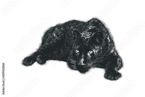 Black Panther Lying Down Halftone Style Image. Vector hand drawn illustration