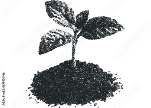 Small green sprout emerging from dark soil with textured leaves. Vector hand drawn illustration