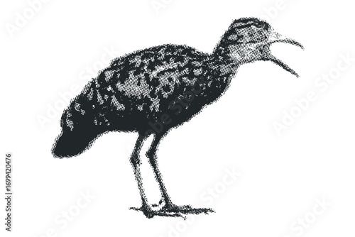 Small bird standing on its legs with beak open on transparent background. Vector hand drawn illustration