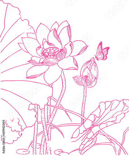 lotus flower drawing sketch