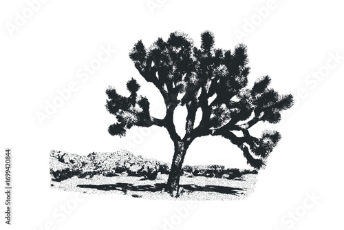 Joshua tree illustration with textured ground and distant hills. Vector hand drawn illustration
