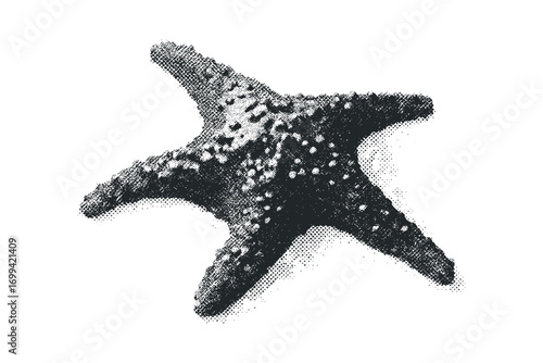 Starfish on Transparent Background Image. Vector hand drawn illustration