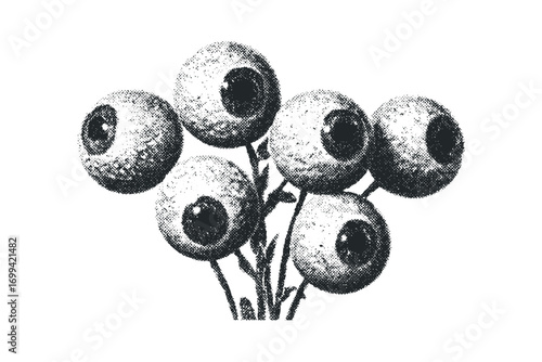 Group of eyeballs on stems image with transparent background. Vector hand drawn illustration