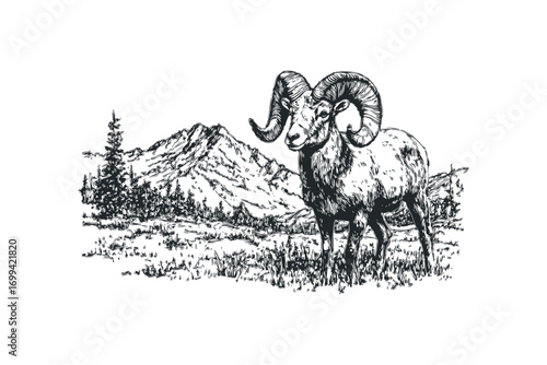 Sketch of a bighorn ram standing in a grassy field with mountains and trees. Vector hand drawn illustration