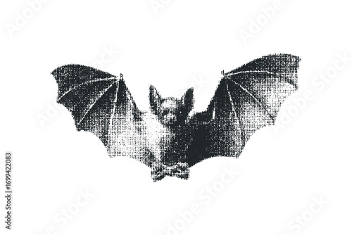 Fuzzy Bat Flying on Transparent Background. Vector hand drawn illustration