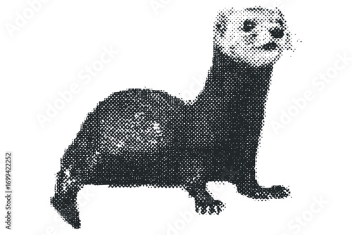 Halftone dot textured ferret image on white background. Vector hand drawn illustration