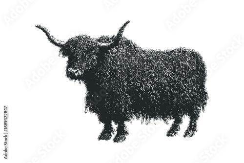 Highland Cow Silhouette on Transparent Background. Vector hand drawn illustration
