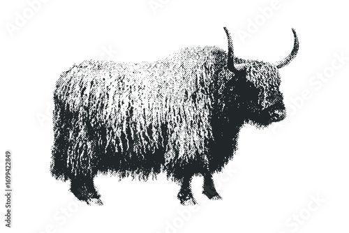 Grayscale halftone texture yak animal image. Vector hand drawn illustration