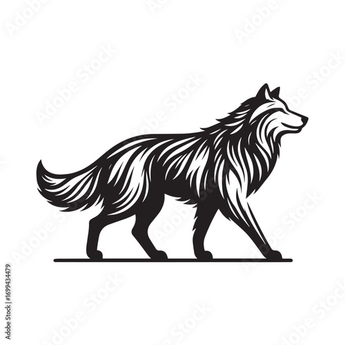 wolf vector illustration