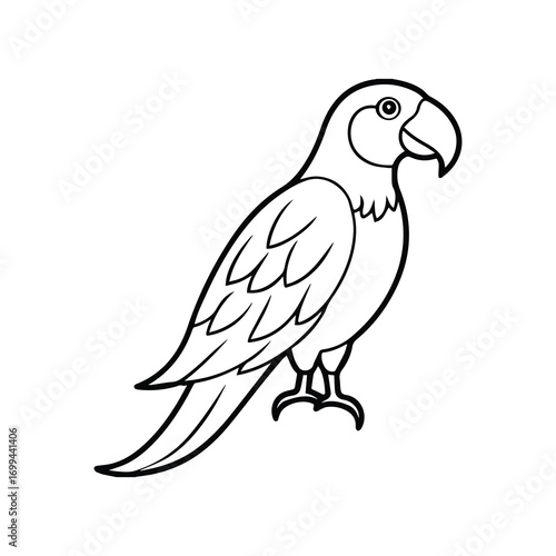 parrot line art, black outline, coloring book page vector illustration