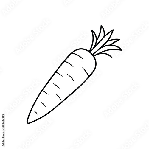 Carrot line art, black outline, coloring book page vector illustration