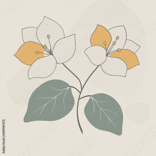 Minimalist illustration of two delicate white and yellow flowers with green leaves on a neutral background