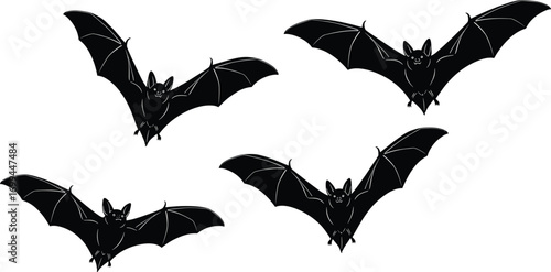 Bird silhouette vector, flying and perched birds, black avian shapes, dynamic wing poses, wildlife design, nature, freedom, minimal style, animal motion