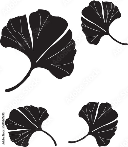 Ginkgo biloba leaf, Leaf silhouette,herbal medicine,