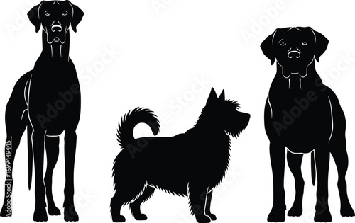 Dog breed silhouette set, black vector illustration, Great Dane, terrier, Rottweiler, pet diversity, canine posture, muscular, fluffy, tall dog shapes