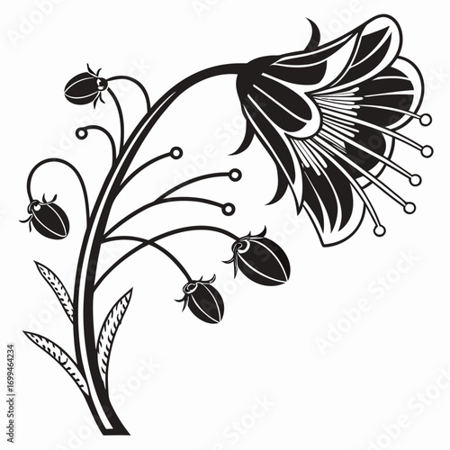Elegant black and white floral design with bell shaped flowers and buds