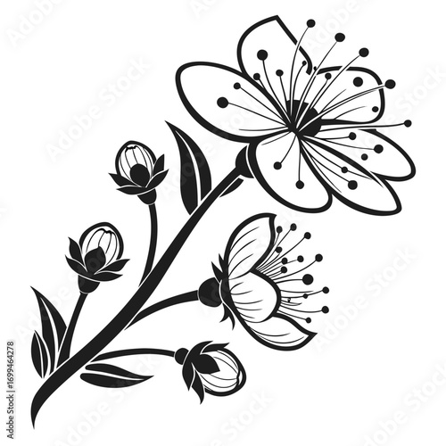 Black and white illustration of cherry blossoms and buds on a branch