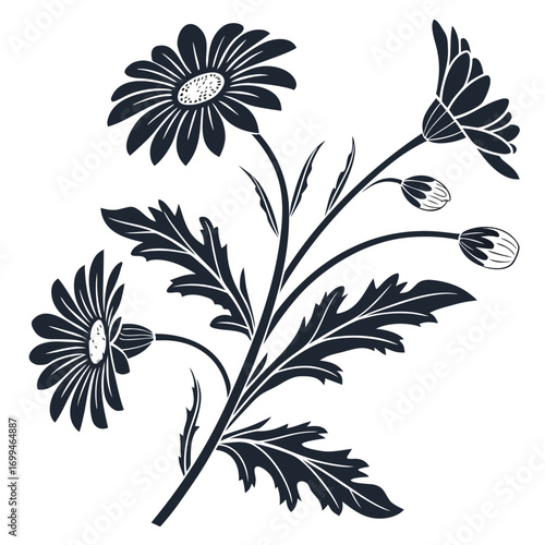 Stylized dark silhouette of daisy flowers and buds on a white background