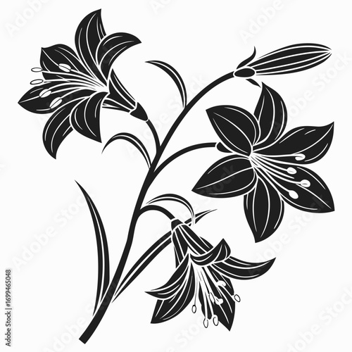 Black and white silhouette of lily flowers and buds on a stem