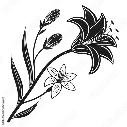 Black and white illustration of a lily flower with buds and leaves