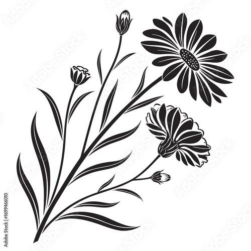 Black and white illustration of a floral branch with daisies and buds