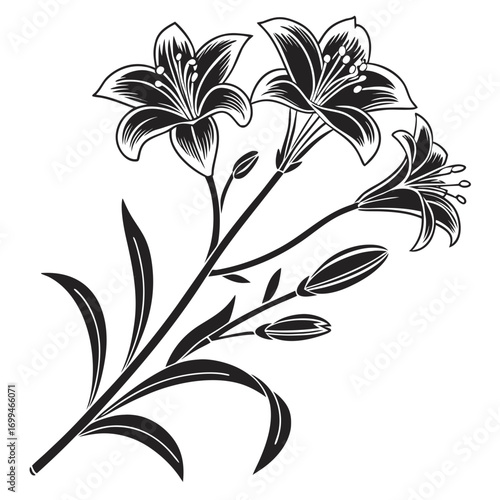 Black and white illustration of a lily flower branch with buds and leaves