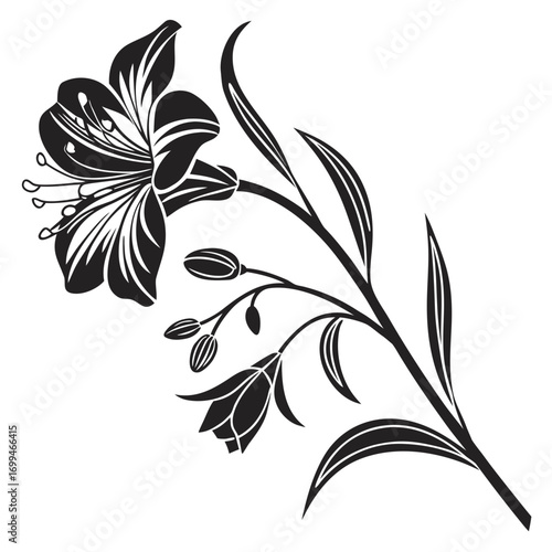 Elegant black and white floral silhouette with buds