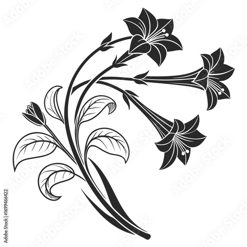 Elegant black and white floral design with trumpet shaped flowers and leaves