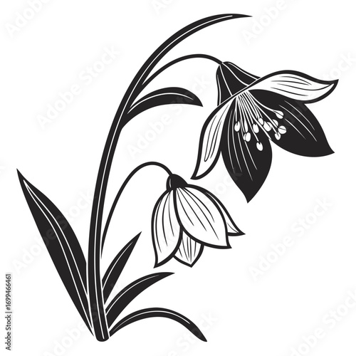 Elegant black and white illustration of bell flowers