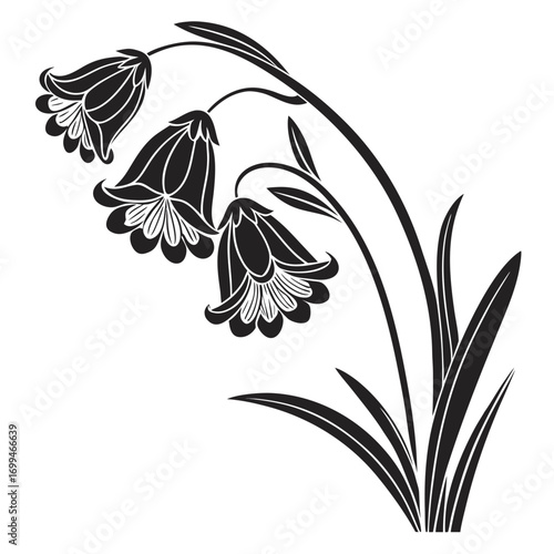 Black and white illustration of bell shaped flowers with leaves