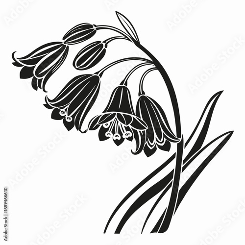 Stylized black and white illustration of bluebell flowers and leaves