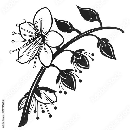 Black and white illustration of a blooming cherry blossom branch with buds